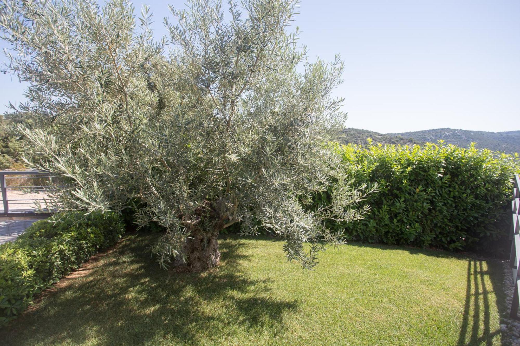 View Collection Villa